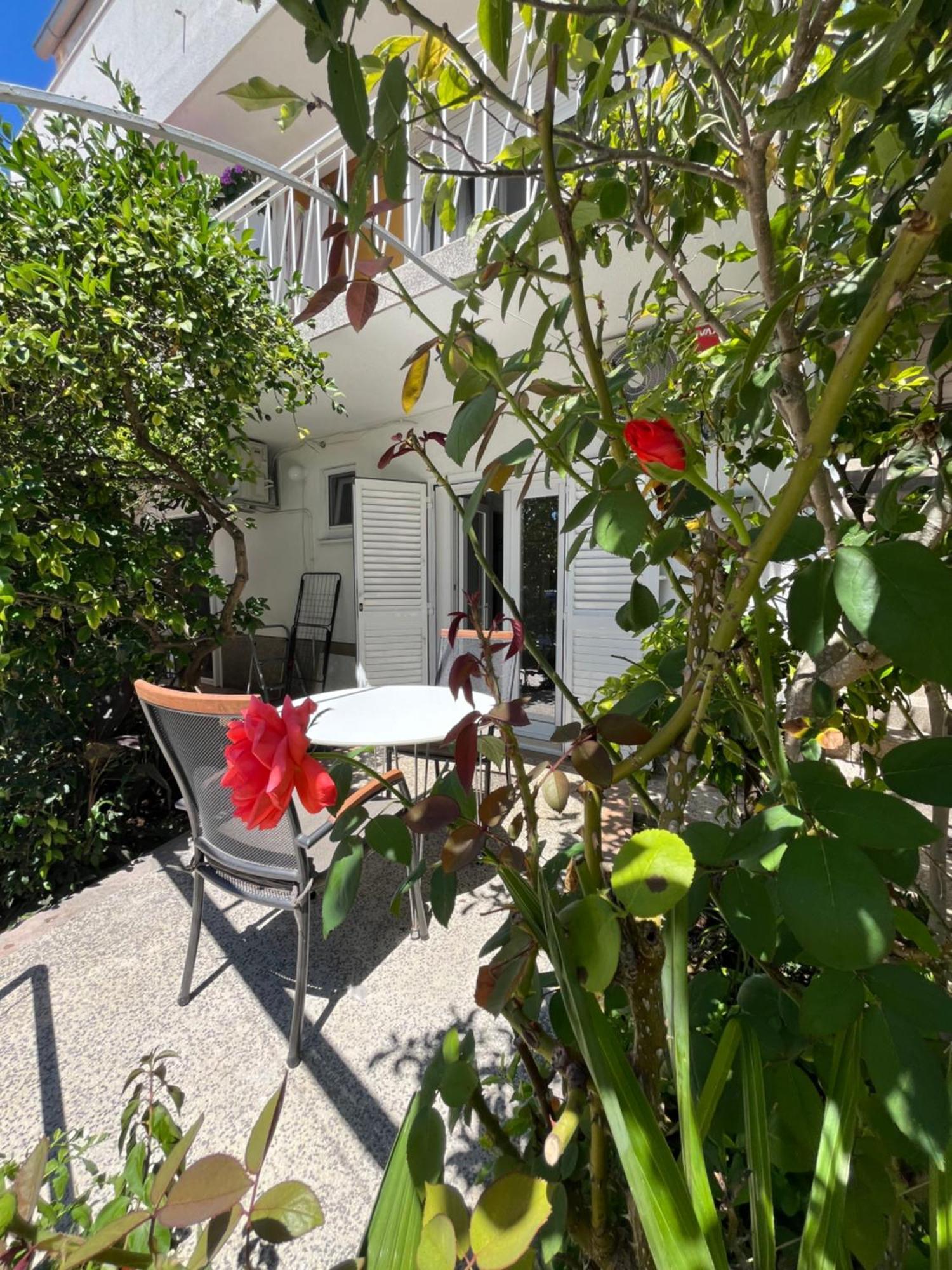 Green Oasis For Two, 30 Meters From Sea Lejlighed Zadar Eksteriør billede